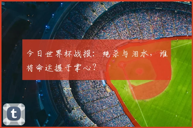 今日世界杯战报：绝杀与泪水，谁将命运握于掌心？